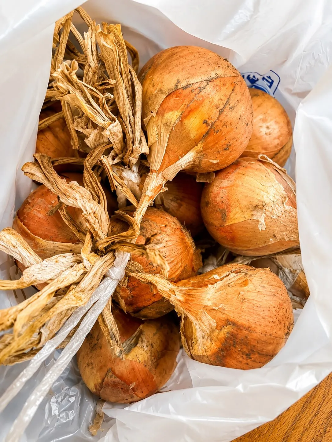 🧑‍🌾 畑から、お店へ。